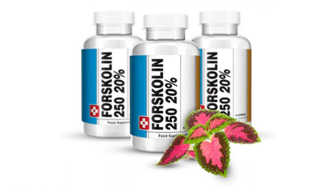 la santé de la forskolina la santé de la forskolina